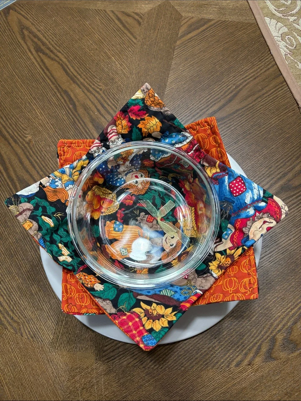 SET of 2 Fall Harvest large bowl cozies - Orange & Multi